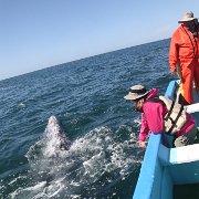 IMG 0001 2 (333)